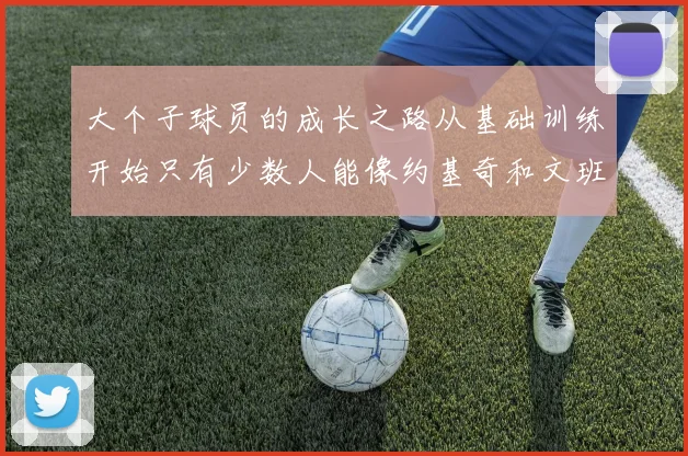 大个子球员的成长之路从基础训练开始只有少数人能像约基奇和文班那样成功
