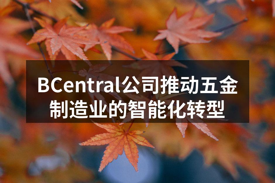 BCentral公司展现智能化生产线